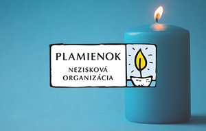Helping non-profit organization Plamienok in 2022